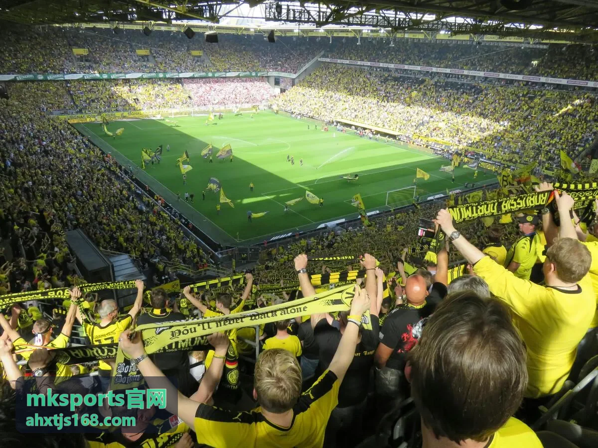 mksports官网企业团队赛事策划与现场执行画面